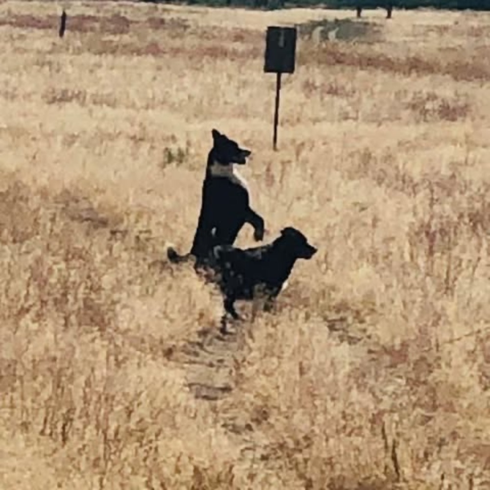 Meet your Posher, Terry